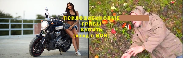 mix Бородино